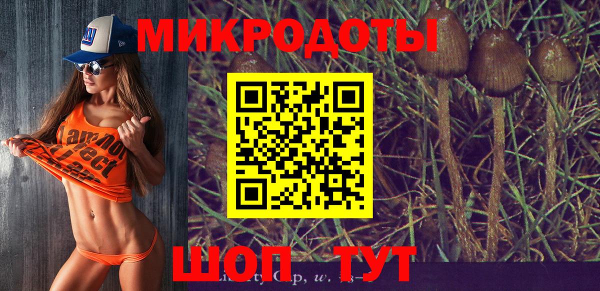 Норильск  Псилоцибиновые грибы мухоморы  Псилоцибиновые грибы Psilocybe  Вход с VPN 